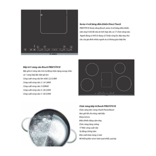 Ảnh thông số Bosch PIE875T01E
